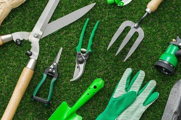Топ-10 незамінних товарів для садівництва