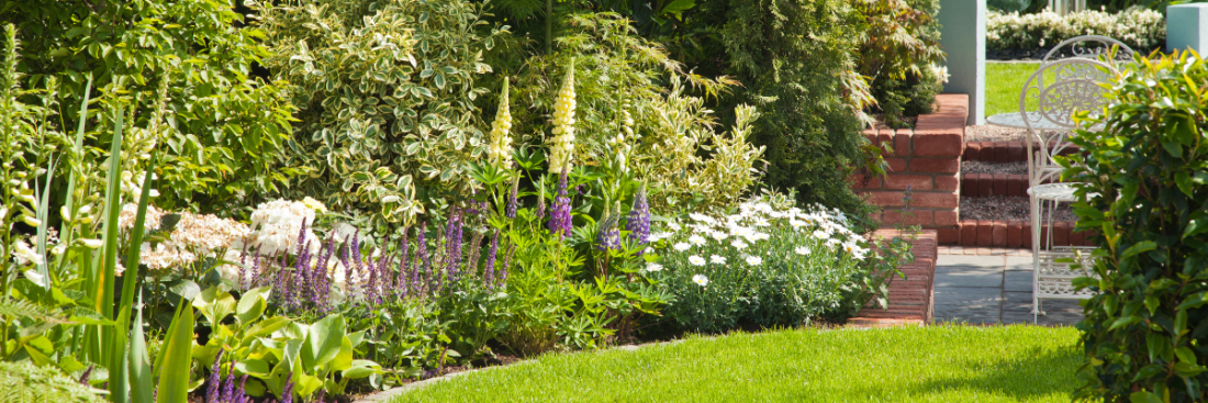 Садівництво для початківців: Поради та ідеї для створення власного саду