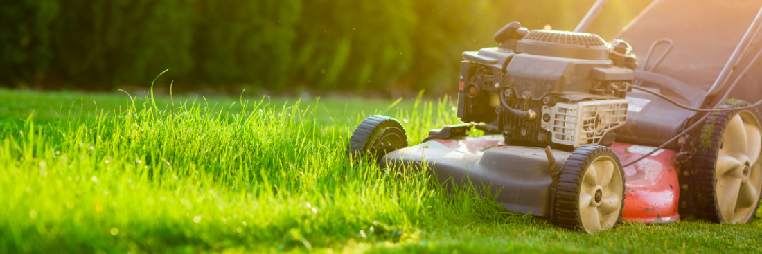 Як обрати газонокосарку?