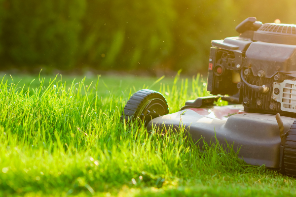 Як обрати газонокосарку?