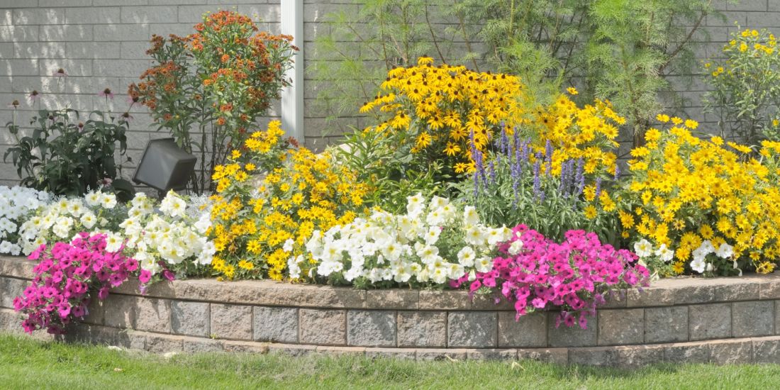10 Лайфхаків по догляду за клумбами