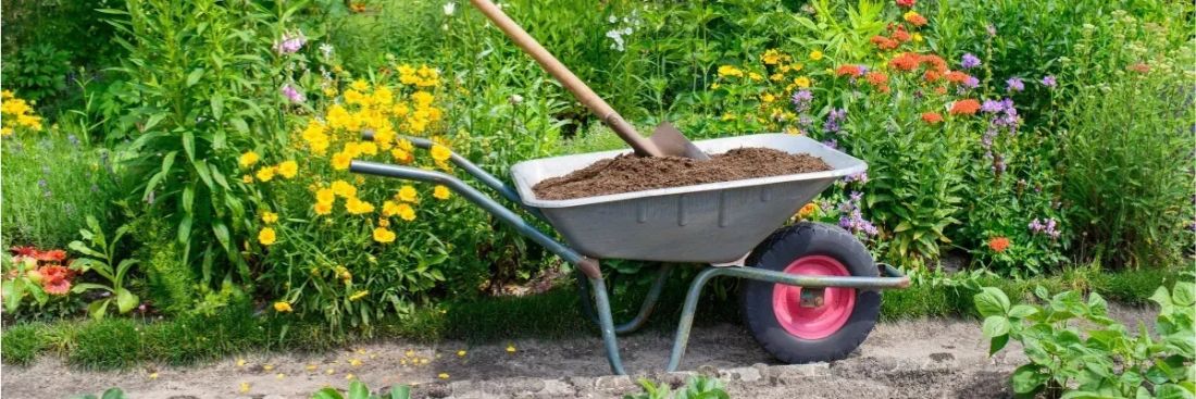 Как выбрать садовую тачку