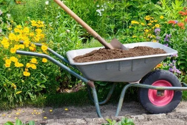 Як обрати садову тачку