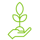 Дача, сад і город