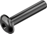Гвинт М6х30 бурт 10.9 БП INB