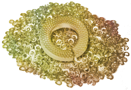 Шайба 20 пруж ЦЖ VSK Art.88130