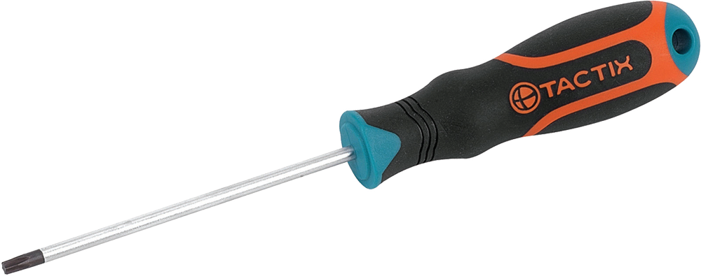 Викрутка T20 х 100мм TC