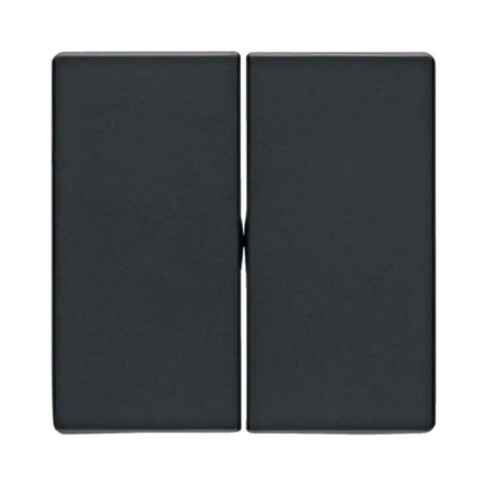 Клавіши для 2-клавішних вимикачів, антрацит, Q.1/Q.3