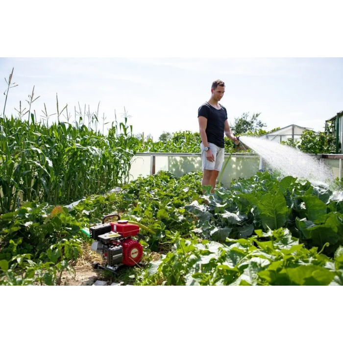 Бензинова мотопомпа AL-KO Comfort BMP (2.3 к.с.) (113793)