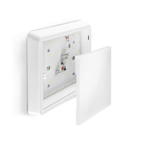 LED Світильник квадратний накладний TITANUM 24W 5000K