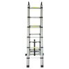 Драбина телескопічна універсальна 12 сходинок 3.8м FLORA (5033414)