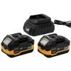 Набор аккумуляторов и зарядных устройств Procraft PBC-set2 (20/4 акб и зп)