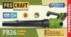 Аккумуляторная воздуходувка Procraft PB26 (1 АКБ и зп)