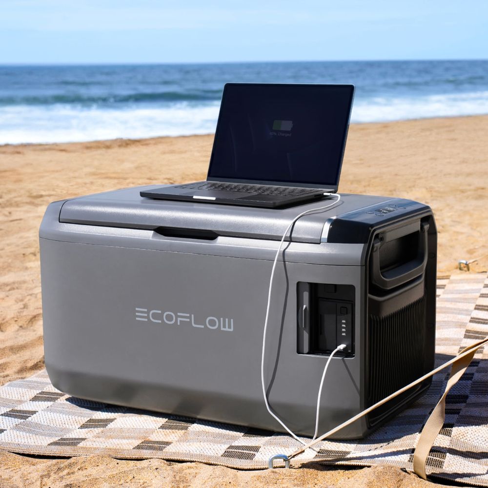 Холодильник Ecoflow Glacier Classic 45L з акумулятором