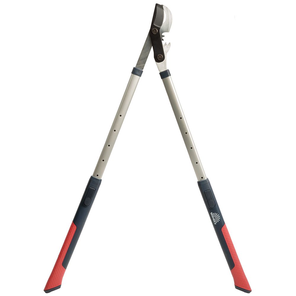 Сучкоріз телескопічний Vitals Professional LS-930-01T